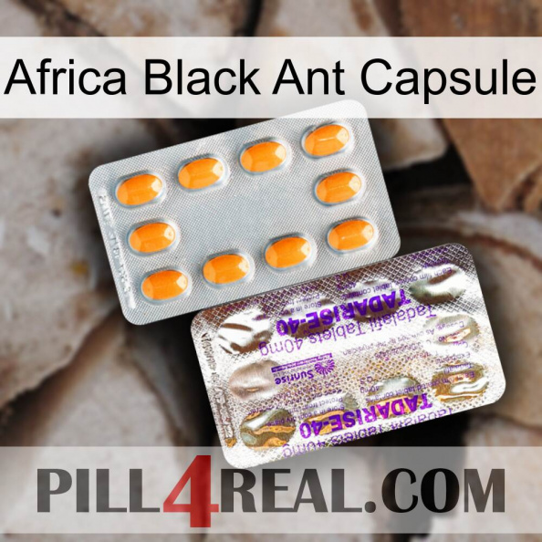 Africa Black Ant Capsule new12.jpg